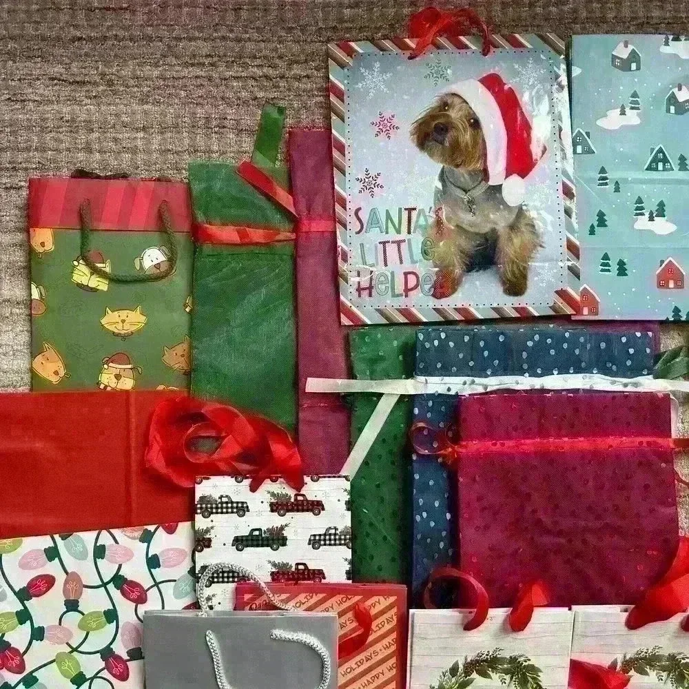 5 POUNDS 42 Pcs Gift Bags For All Occasions — Birthday Baby Shower Christmas